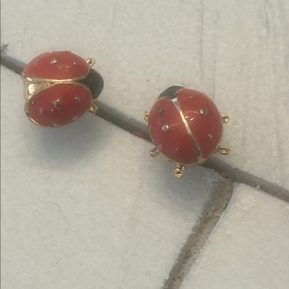 Ladybug pins/earings
kate spade - Picture 2 of 3